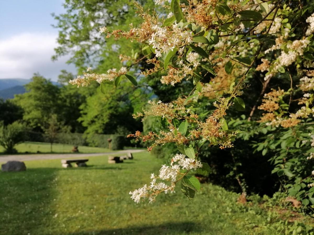 La Cordana Rooms Valdobbiadene Εξωτερικό φωτογραφία